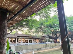 -喜洲吧·江畔老船厂·庭院餐厅(喜临院店)