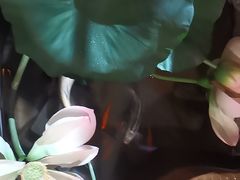 -槐乡六门城小馆(洪洞店)