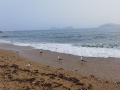 -星海广场