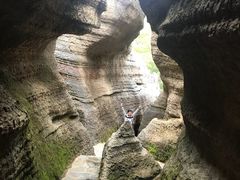 -黎坪国家森林公园