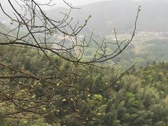 -南武当山景区