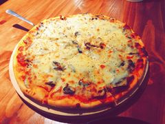 -百好乐宠物友好餐厅(朝外大街店)