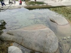 -无染寺