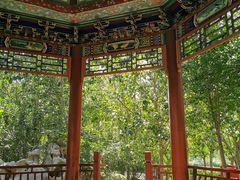 -塘沽森林公园