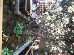 android_upload_pic-山有花啡餐厅(常营总店)