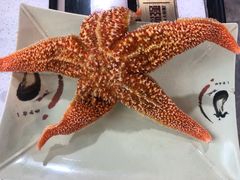 海星-大锅强·蒸海鲜青岛菜(吾悦广场店)