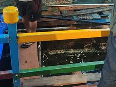 -蓝湾碧波·老字号·疍家非遗海上餐厅