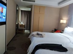 -麗枫酒店(九江浔阳路步行街店)