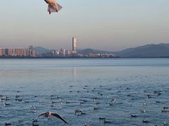 -深圳湾公园(南山区)