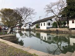 -金泽古镇