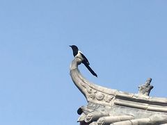 -处女泉风景名胜区
