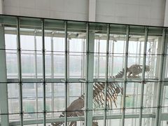-吉林省自然博物馆