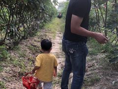 -菊园百果园