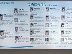-北京观赏动物医院·24小时大型综合·猫专科·异宠专科