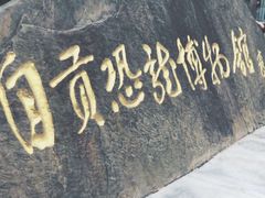 -自贡恐龙博物馆