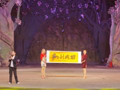 -灵玲国际马戏城