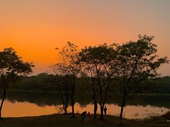 -盘龙城国家考古遗址公园