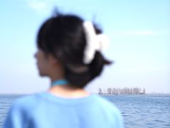 -白洋淀景区