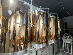 -玩啤国度精酿啤酒(宝山店)