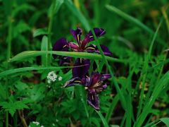 -苏州河梦清园环保主题公园