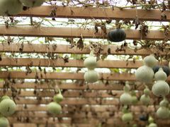 -中国天府农业博览园