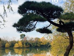 -新荣记(西溪湿地店)