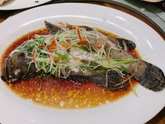 -竹林小屋(库塔店)