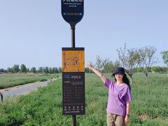 -汉长安城未央宫国家考古遗址公园