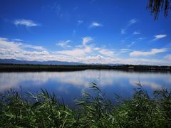 -野鸭湖国家湿地公园