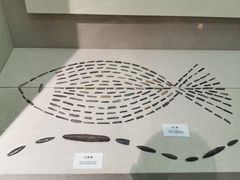 -巴音郭楞蒙古自治州博物馆