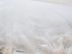 -四海蒸鲜蒸汽海鲜自助(北戴河店)