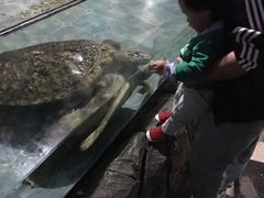 -上海海昌海洋公园-停车场