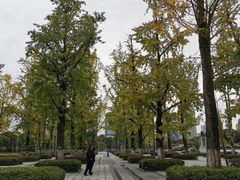 -百林公园-两江幸福广场