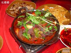 牛肉煲-深山老屋(国顺东路店)