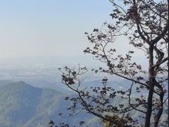 -广州市帽峰山景区