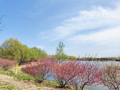 -东郊湿地公园