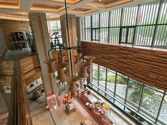 -浅深Cheersum(曹杨店)