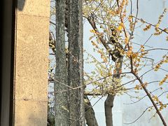 -拙政园
