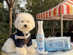 -上海神旺大酒店