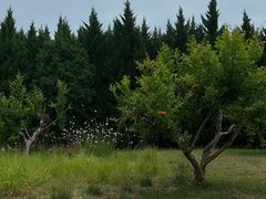 -汉长安城未央宫国家考古遗址公园