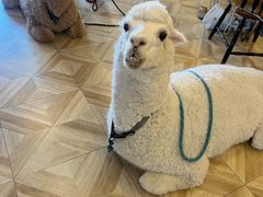 -Blue Concept Cafe&Farm·關於藍