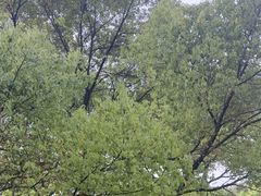 -共青国家森林公园-售票处