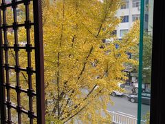 -胖师鱼馆非遗砂锅雅鱼(大北街店)