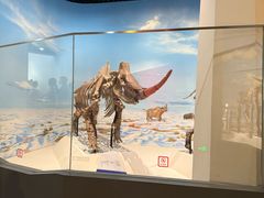 -国家自然博物馆