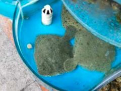 -晓伟海鲜家常菜