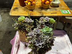 -东川新街市(东川市场店)