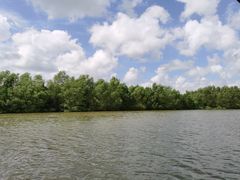 -东寨港红树林旅游区