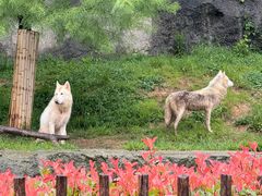 -杭州野生动物世界