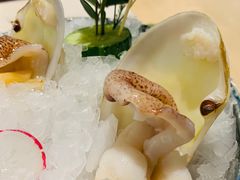 小象鼻蚌-围炉夜话·潮汕卤水火锅(榕江店)