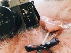 -WHEN PIGS FLY当猪飞